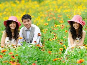 恋暖阳,探寻阳光下的浪漫邂逅