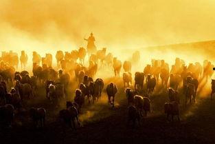 扬鞭策马赋倾城,探寻古代女侠的传奇人生