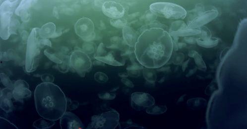 水深火热的星球