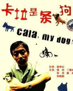 卡拉是条狗,从流浪狗到忠诚伙伴的蜕变之旅